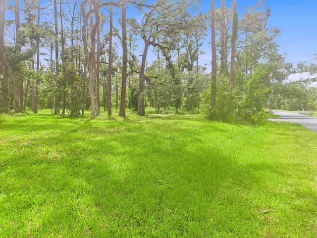 TBD W Veterans Dr, Perry, FL 32348