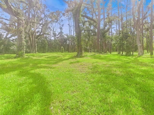 TBD W Veterans Dr, Perry, FL 32348