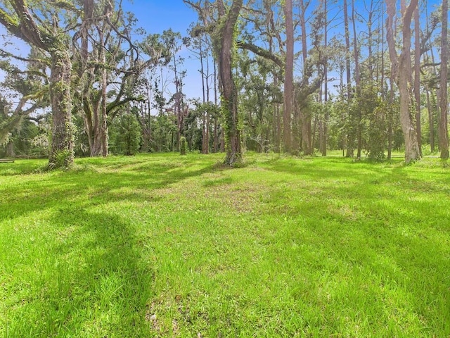 TBD W Veterans Dr, Perry, FL 32348