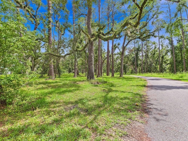 TBD W Veterans Dr, Perry, FL 32348