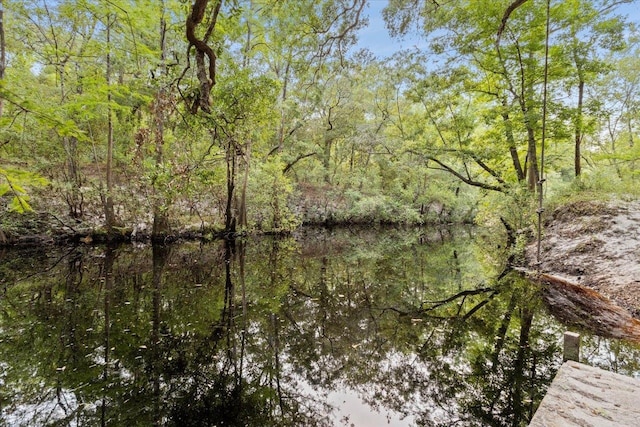 view of nature