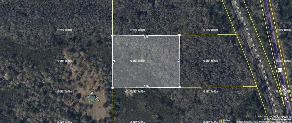 TBD SW US-221, Greenville, FL 32331 - photo 1
