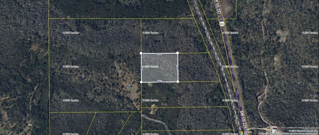 TBD SW US-221, Greenville, FL 32331 - photo 2