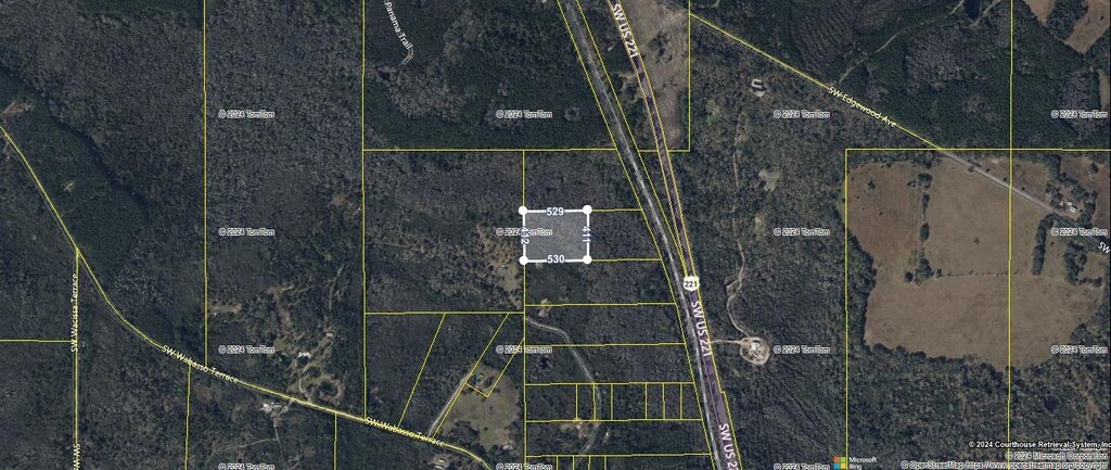 TBD SW US-221, Greenville, FL 32331 - photo 3