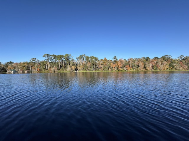 view of water feature