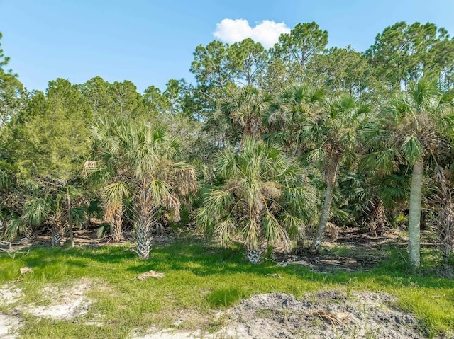 85 Southside Dr, Crawfordville, FL 32327