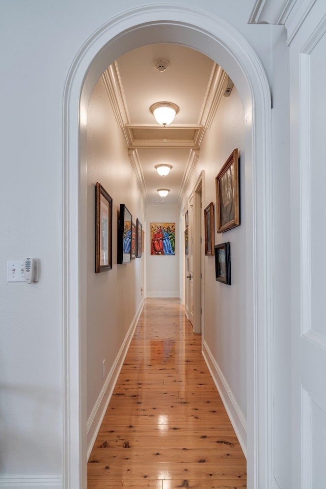 hallway with light hardwood / wood-style floors and crown molding