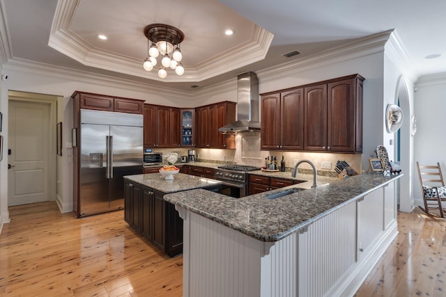 kitchen featuring wall chimney range hood, high end appliances, sink, and a raised ceiling