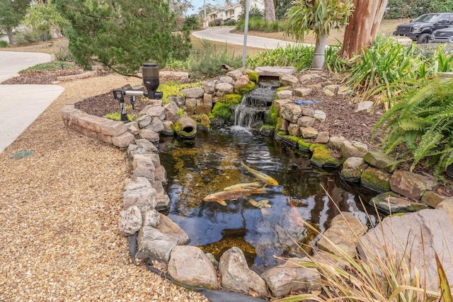 view of yard with a small pond