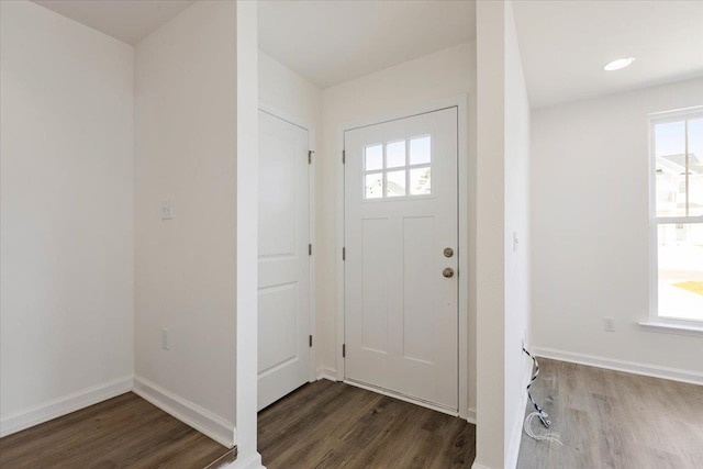 entryway with a wealth of natural light and dark wood-type flooring