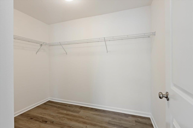 walk in closet with dark hardwood / wood-style floors