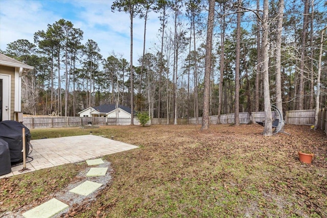 view of yard featuring a patio area