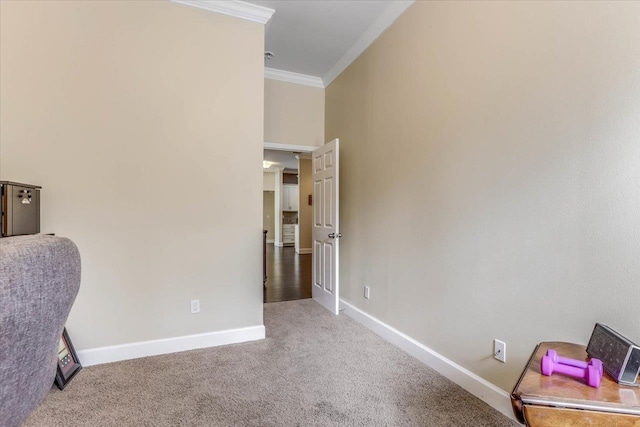 carpeted home office with crown molding