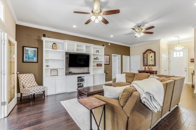 living room featuring ceiling fan, ornamental molding, and dark wood-type flooring