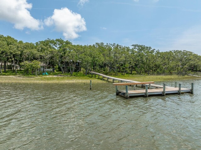 654 Mariner Cir, Alligator Point, FL 32346 - photo 28