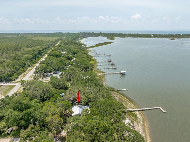 654 Mariner Cir, Alligator Point, FL 32346 - photo 35