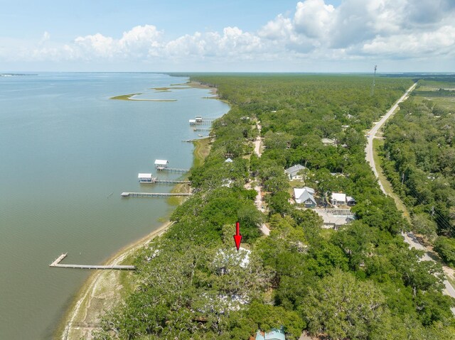 654 Mariner Cir, Alligator Point, FL 32346 - photo 31