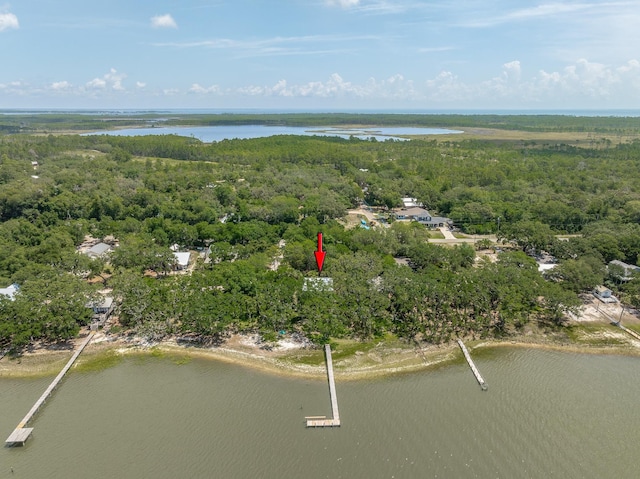 654 Mariner Cir, Alligator Point, FL 32346 - photo 29