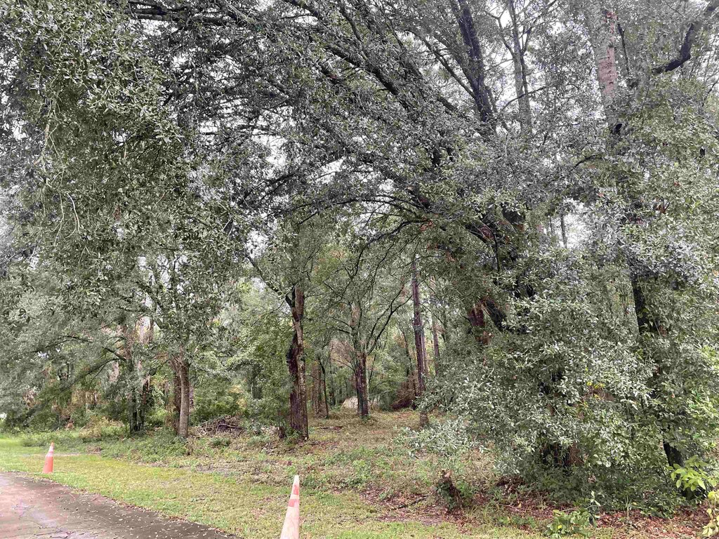 0 Purnell Ct, Tallahassee, FL 32308 - photo 1