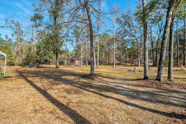 view of yard with a shed