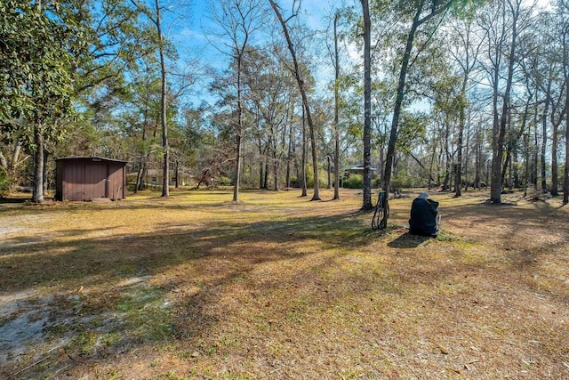 view of yard with a shed