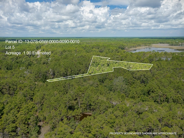 LOT5 Kal Ln, Carrabelle, FL 32322