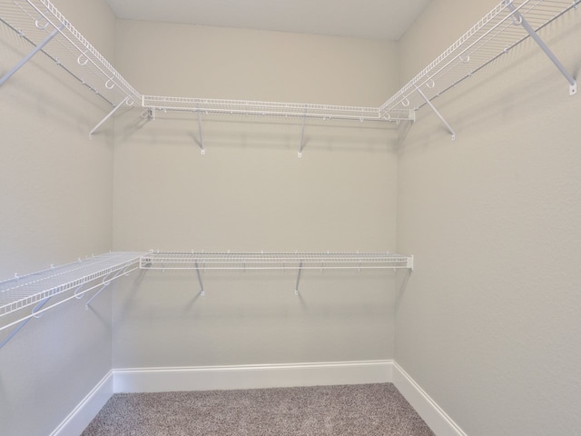 641 Knotted Pine Dr, Tallahassee, FL 32312 - photo 24