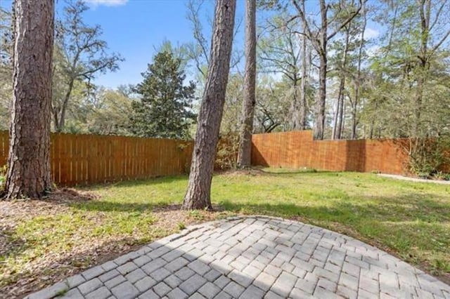 view of yard with a fenced backyard and a patio