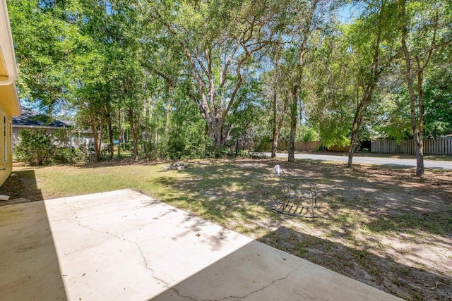 view of yard featuring a patio area