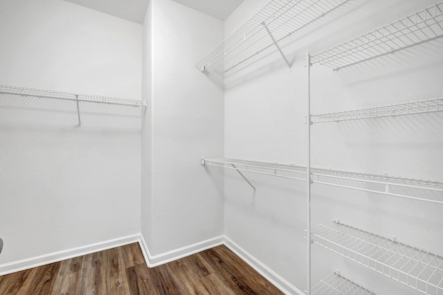 walk in closet featuring hardwood / wood-style floors