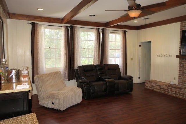 living room with ceiling fan, beamed ceiling, and dark hardwood / wood-style floors