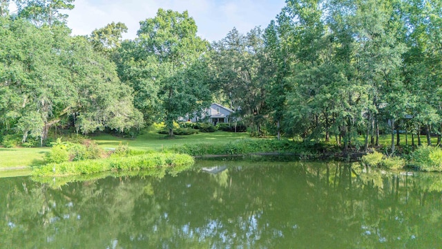 860 Maderia Cir, Tallahassee, FL 32312 - photo 28