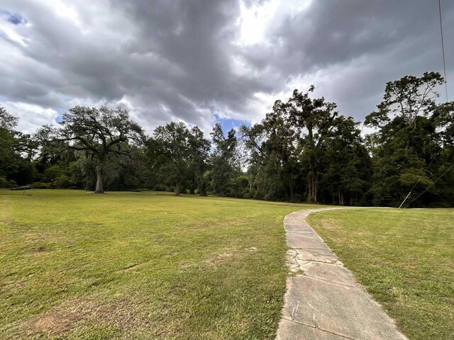 1518 Mabry St, Tallahassee, FL 32310 - photo 35