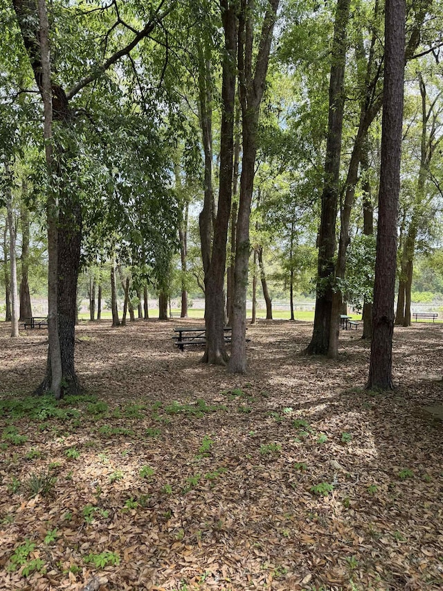 3603-3605 Shoreline Dr Unit 5, Tallahassee, FL 32305 - photo 33