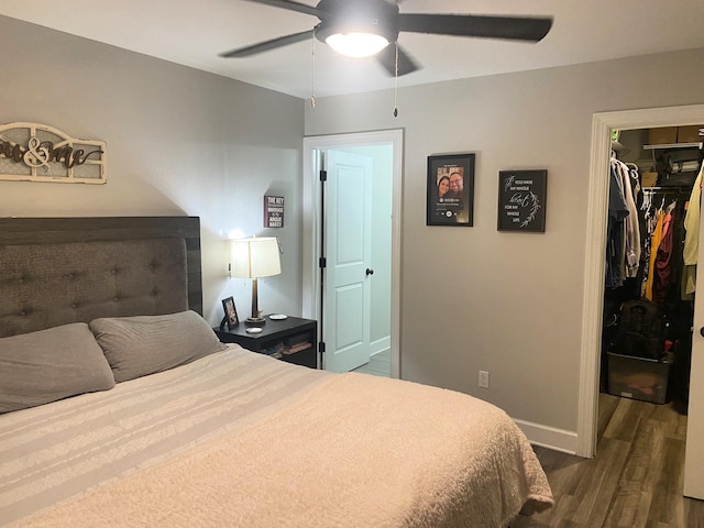 bedroom with ceiling fan, a walk in closet, a closet, and dark hardwood / wood-style floors