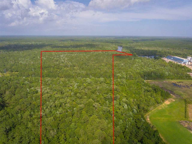 73 Hope Ln -, Unit Saint Marks FL, 32355 land for sale