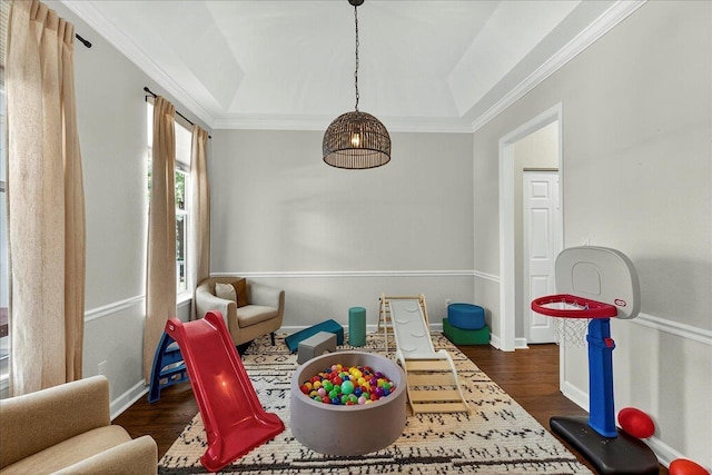 3256 Whitman Way, Tallahassee, FL 32311 - playroom featuring wood finished floors, ornamental molding, and a tray ceiling