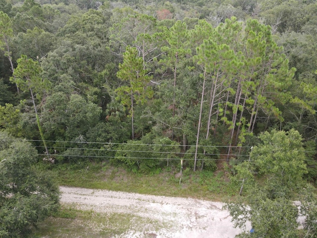 0 Kays Rd, Perry, FL 32347 - photo 18
