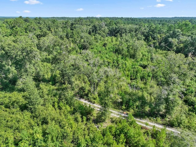 4778 Emanuel Ln, Tallahassee, FL 32303