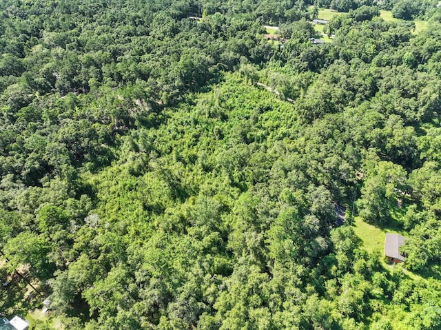 4778 Emanuel Ln, Tallahassee, FL 32303