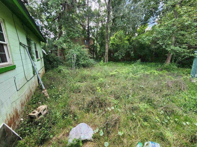2643 Lonnblaudh Rd, Tallahassee, FL 32308 - photo 11
