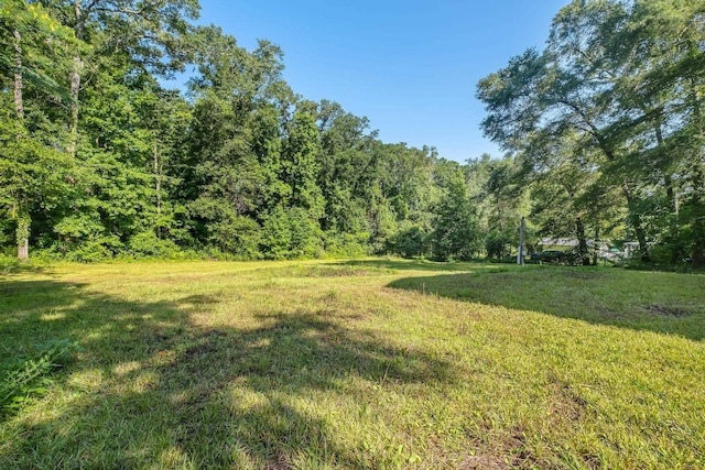1116 Antler Dr, Tallahassee, FL 32317 - photo 35