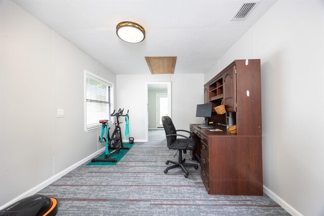 office featuring carpet