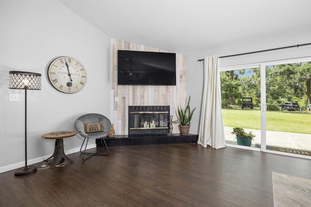 living room featuring dark hardwood / wood-style flooring and a fireplace