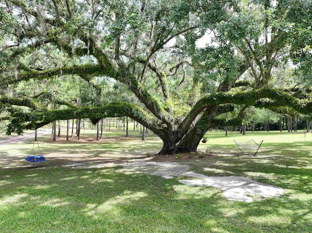 view of property's community featuring a yard