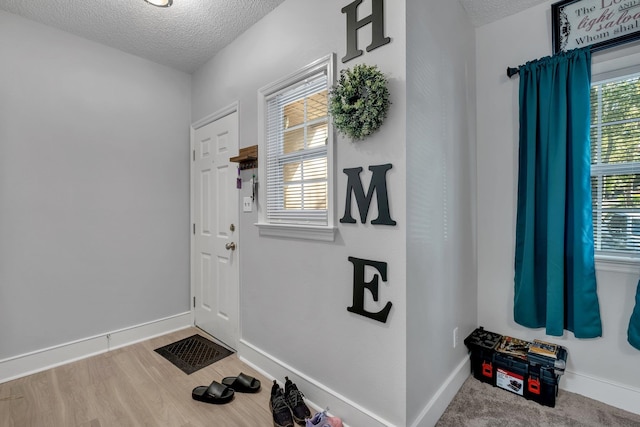 doorway with hardwood / wood-style flooring, a healthy amount of sunlight, and a textured ceiling