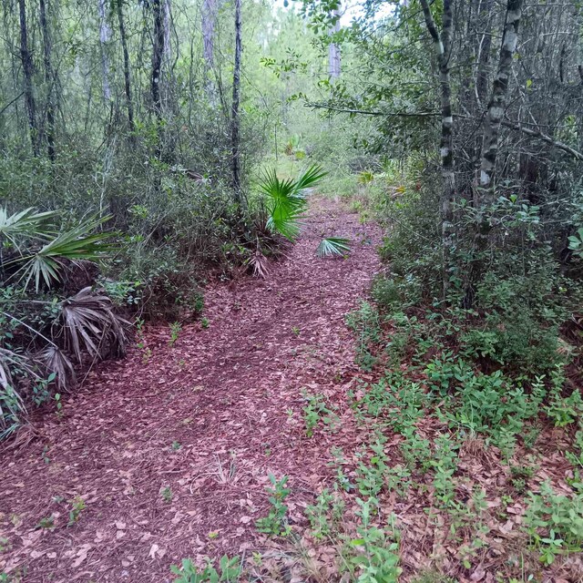 4862 Old Indian Trl, Tallahassee, FL 32310 - photo 3