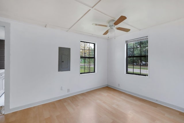 unfurnished room featuring electric panel, ceiling fan, and light wood-type flooring