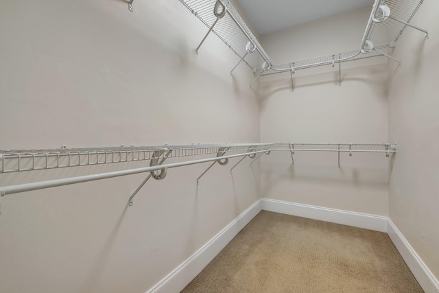 3574 Strolling Way, Tallahassee, FL 32311 - walk in closet featuring light carpet