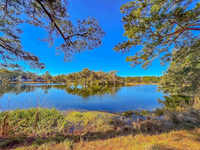2825 Turkey Hill Trl, Tallahassee, FL 32312 - photo 42